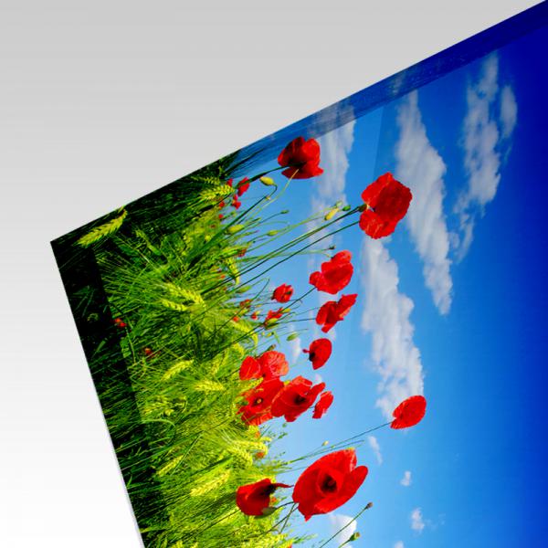 Küchenrückwand Blumenansicht