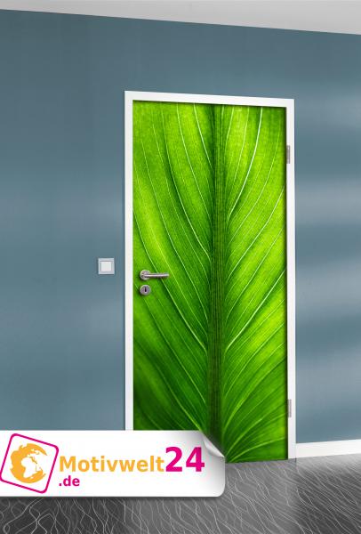 Tür Deco Palmenblatt